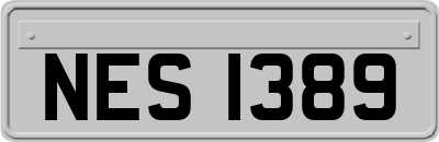 NES1389