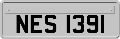 NES1391