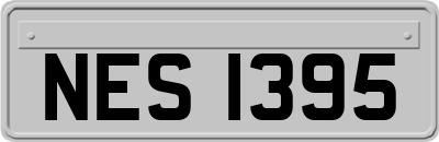 NES1395