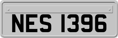 NES1396