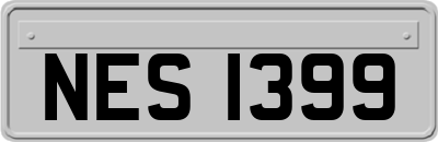 NES1399