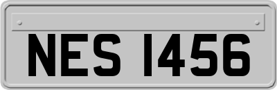 NES1456