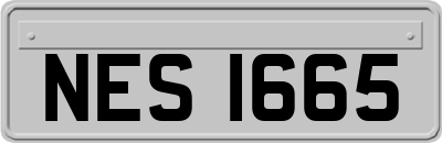 NES1665