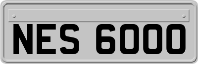 NES6000