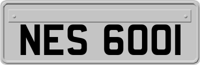 NES6001