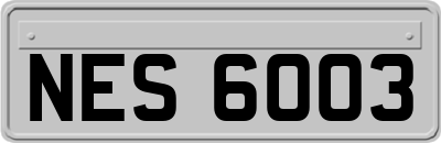 NES6003