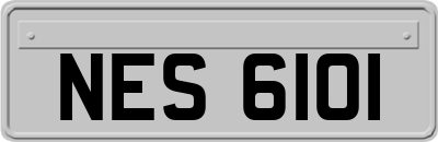 NES6101