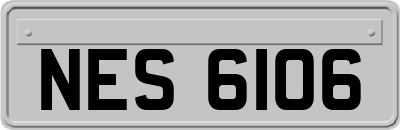 NES6106