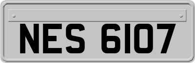 NES6107