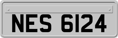 NES6124