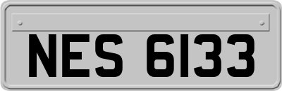 NES6133