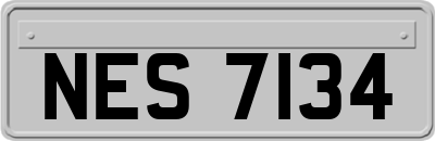 NES7134