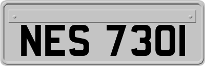 NES7301