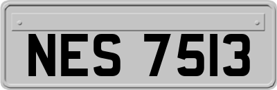 NES7513