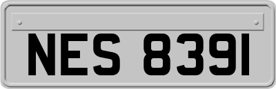 NES8391