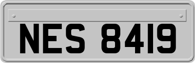 NES8419