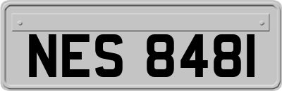 NES8481