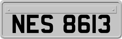 NES8613