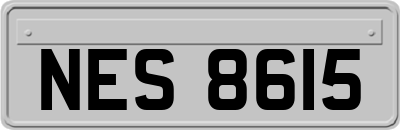 NES8615