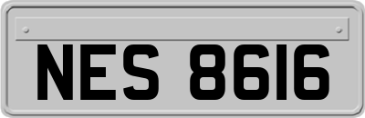 NES8616