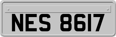 NES8617