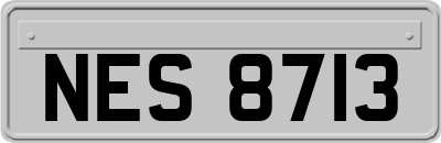 NES8713