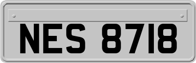 NES8718