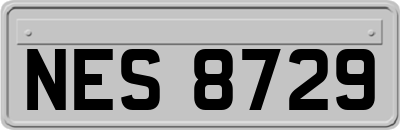 NES8729