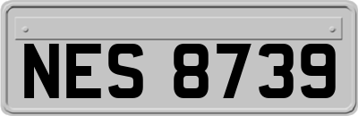 NES8739