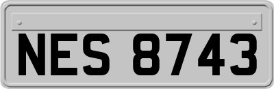 NES8743