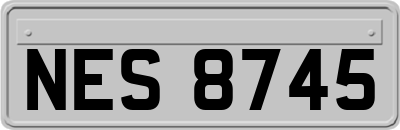 NES8745