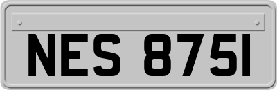 NES8751