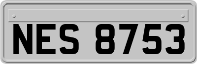 NES8753