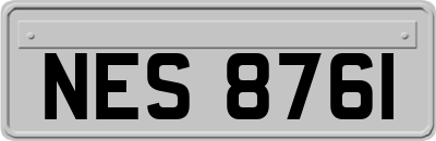 NES8761