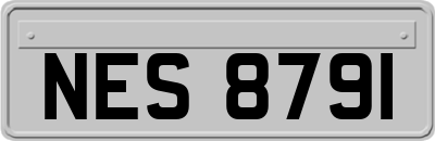 NES8791