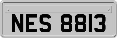 NES8813