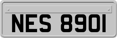 NES8901