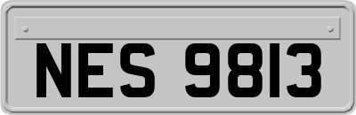 NES9813