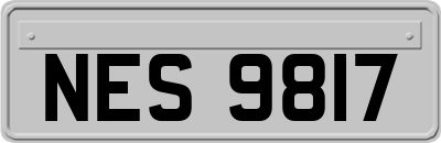 NES9817