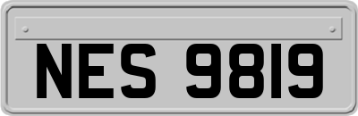 NES9819