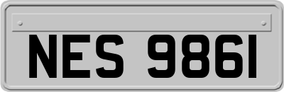 NES9861