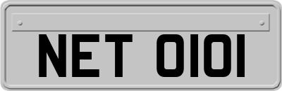 NET0101