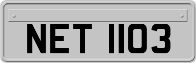 NET1103