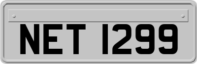 NET1299