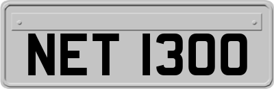 NET1300