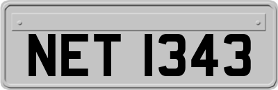 NET1343