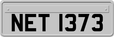 NET1373