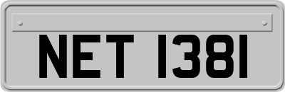 NET1381