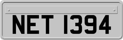 NET1394