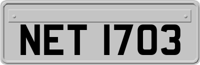 NET1703